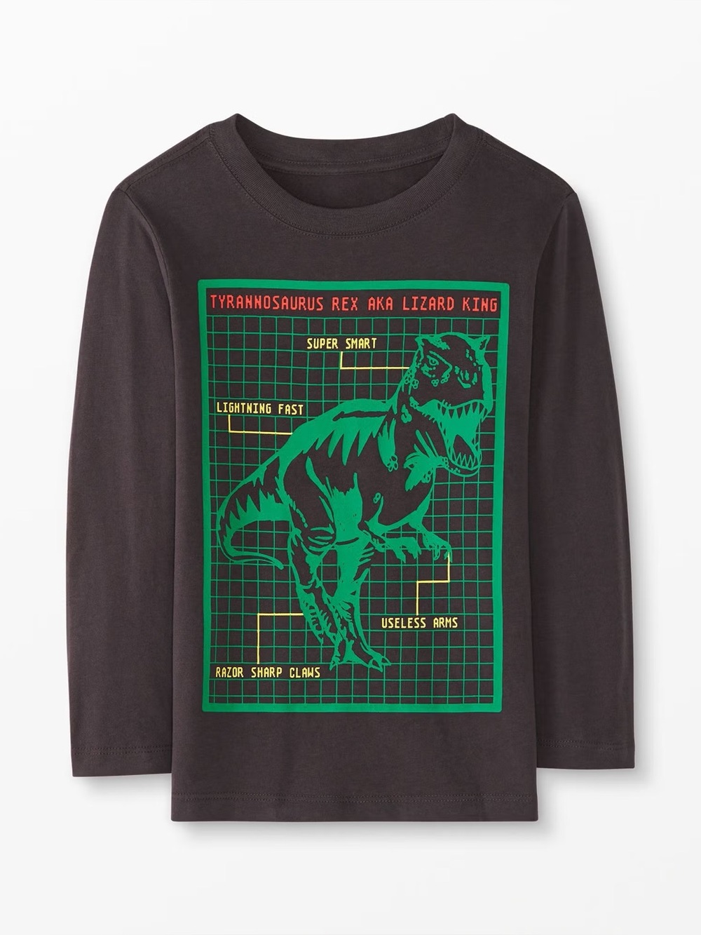 Hanna Andersson Dinosaur Graphic Long Sleeve Tshirt Size 4